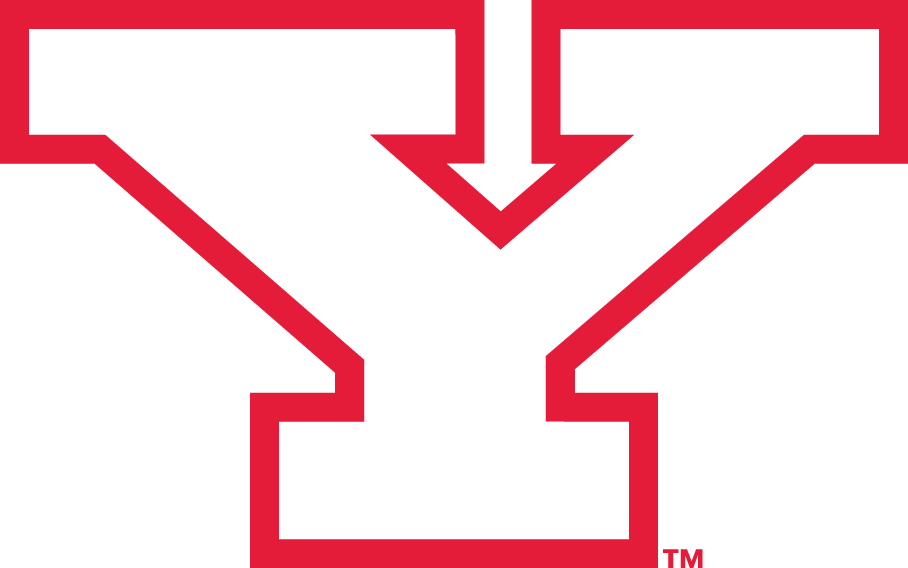 Youngstown State Penguins 1993-Pres Alternate Logo v2 iron on transfers for clothing